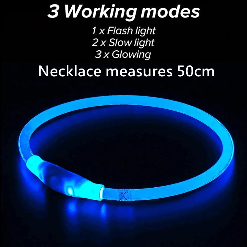 LED USB Rechargeable Dog Collar — Night Safety Glow