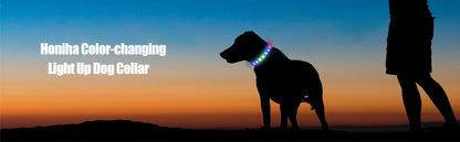 LED Luminous Dog Collar — USB Rechargeable & Waterproof
