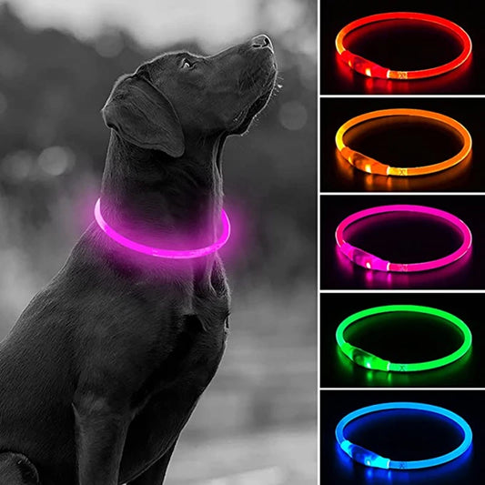 LED USB Rechargeable Dog Collar — Night Safety Glow