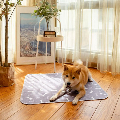 Washable Dog Pee Pad — Absorbent & Leak-Proof Training Mat