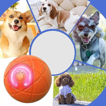 Interactive Auto-Rolling Ball Dog Toy – USB Rechargeable LED Shaky Ball for Dogs & Puppies