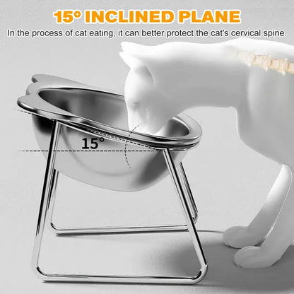 Elevated Stainless Pet Bowl