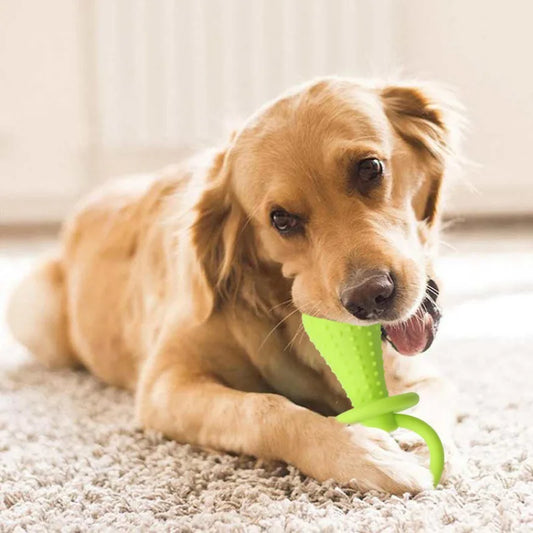 Indestructible Small Dog Chew Toy — Teeth Cleaning