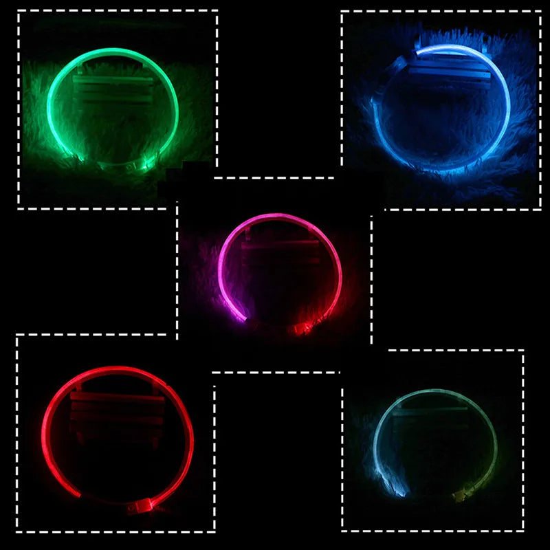 LED USB Rechargeable Dog Collar – Glowing Safety Collar for Night Walks