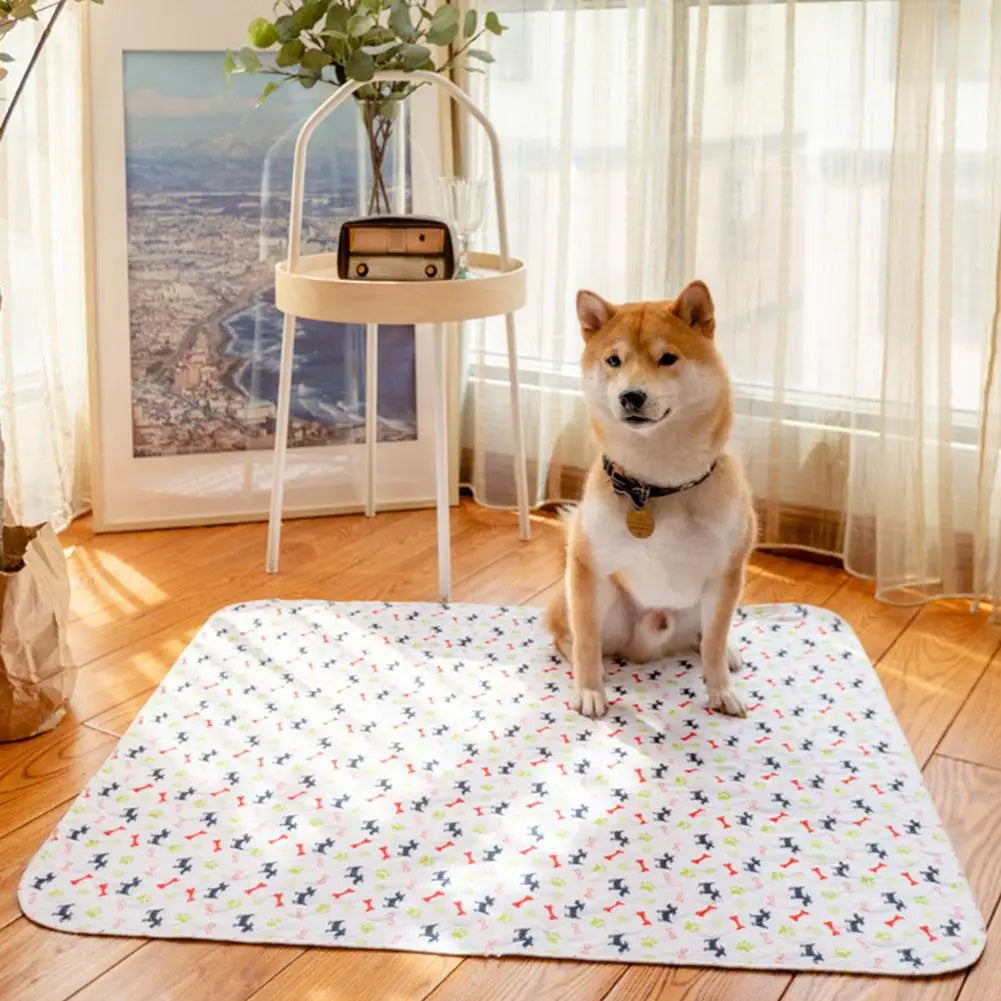 Washable Dog Pee Pad — Absorbent & Leak-Proof Training Mat