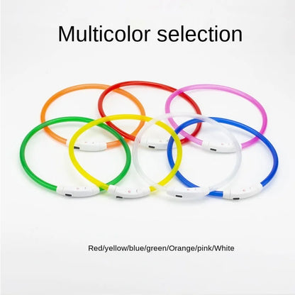 LED USB Rechargeable Dog Collar — Night Safety Glow