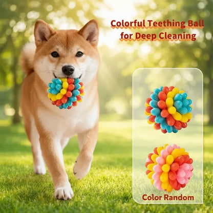 Indestructible TPR Dog Chew Toy — Soft Training Ball