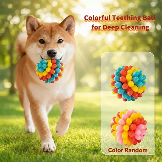 Indestructible TPR Dog Chew Toy — Soft Training Ball