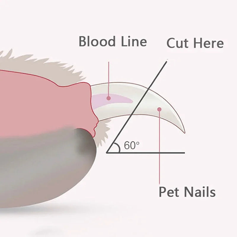 LED Pet Nail Clippers – Safe Dog & Cat Nail Trimmer with Light for Precise Cuts