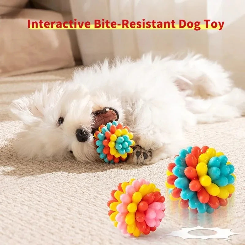 Indestructible TPR Dog Chew Toy — Soft Training Ball