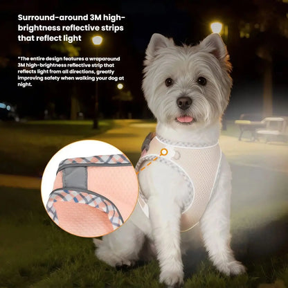 Reflective Dog Harness & Leash Set – Breathable Mesh Vest for Small & Medium Dogs
