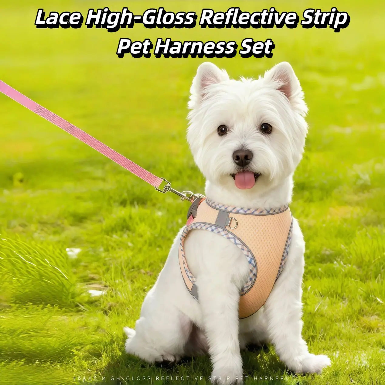 Reflective Dog Harness & Leash Set – Breathable Mesh Vest for Small & Medium Dogs