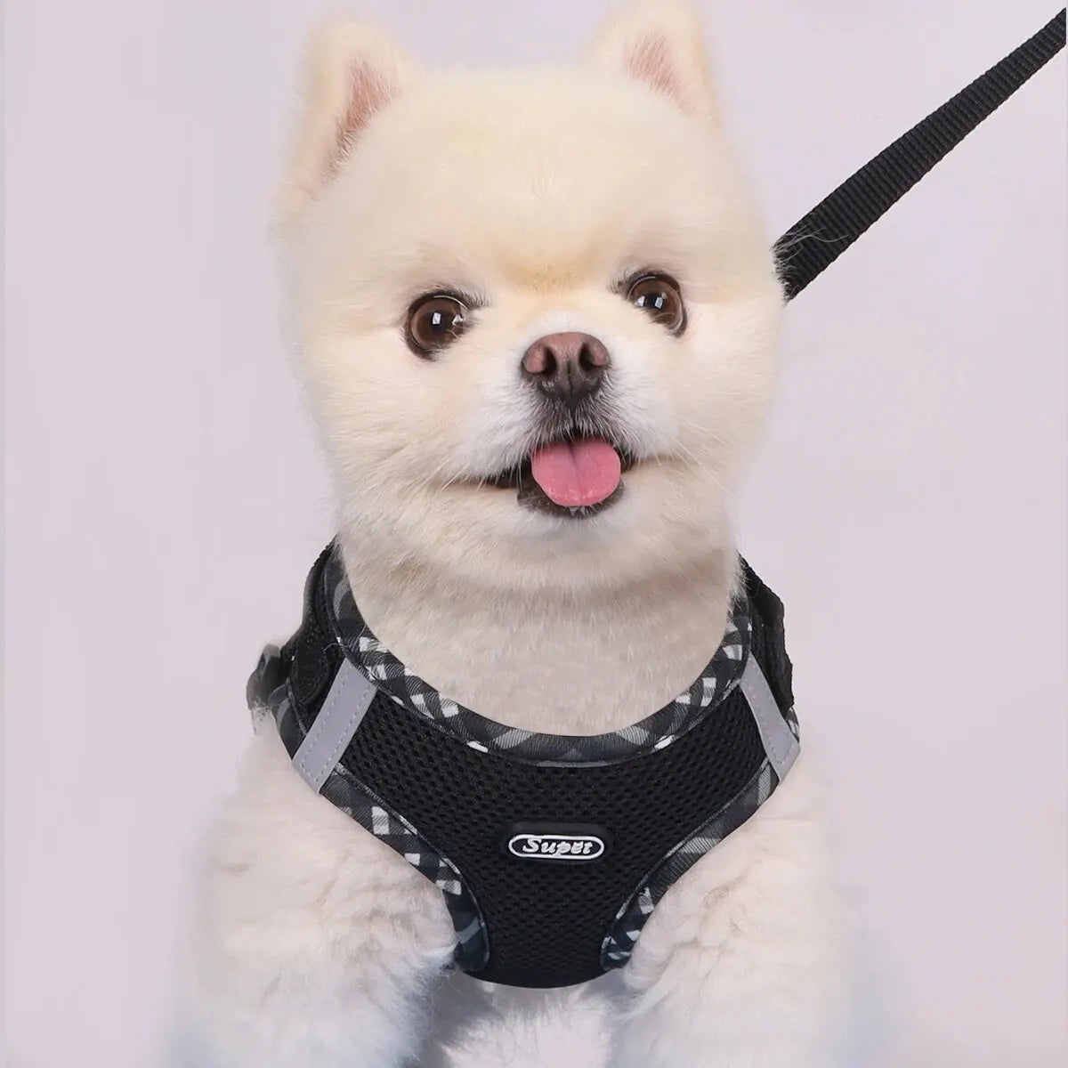 Supet Anti-Pull Dog Harness — Adjustable for Small & Medium Dogs