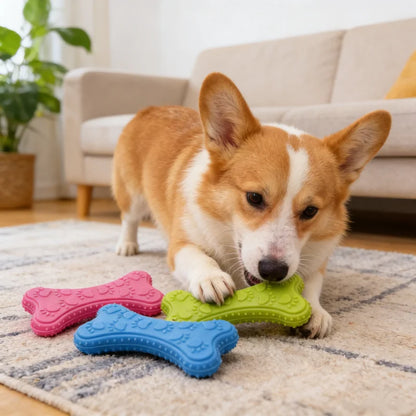 Non-Toxic Rubber Puppy Teething Chew Toy