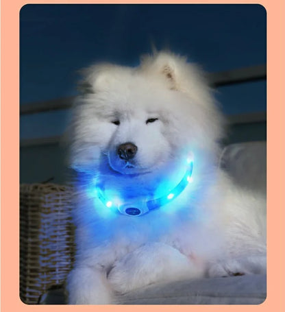 LED Luminous Dog Collar — USB Rechargeable & Waterproof