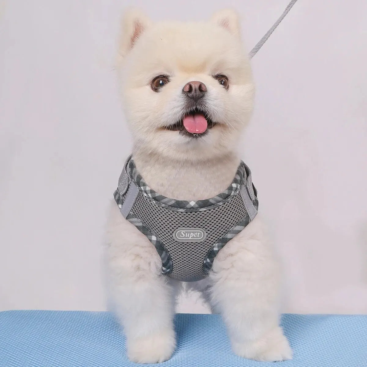 Supet Anti-Pull Dog Harness — Adjustable for Small & Medium Dogs