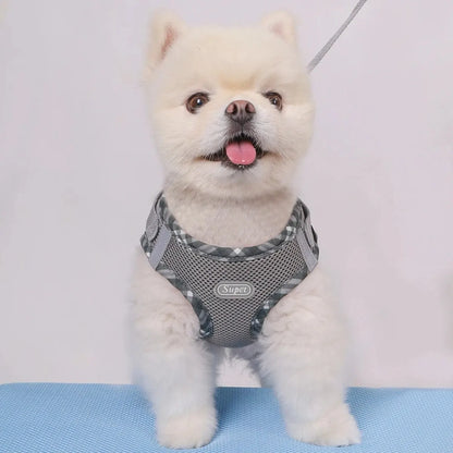 Supet Anti-Pull Dog Harness — Adjustable for Small & Medium Dogs