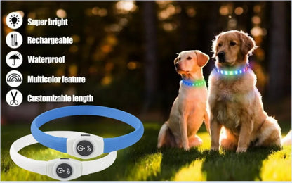 LED Luminous Dog Collar — USB Rechargeable & Waterproof