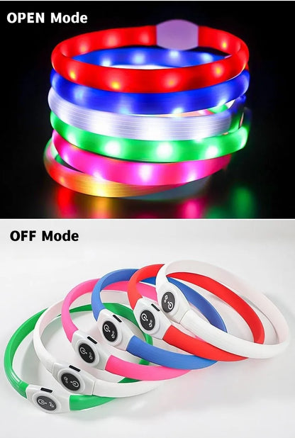 LED Luminous Dog Collar — USB Rechargeable & Waterproof