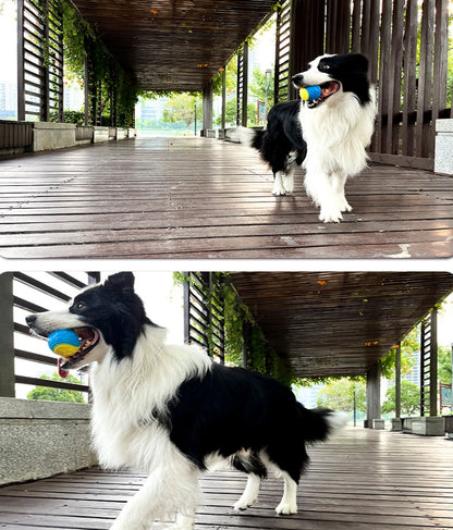 Squeaky TPR Dog Ball Toy — Teeth Cleaning & Bite Resistant