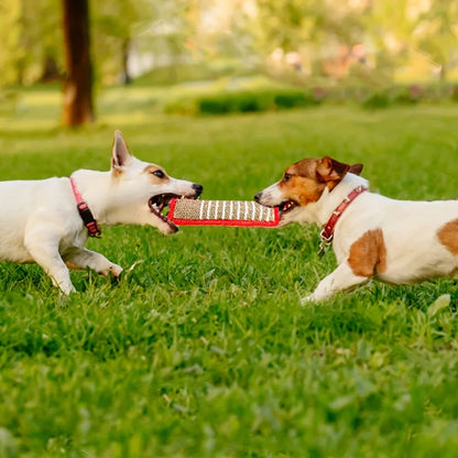 Durable Jute Dog Chew Stick — Natural Dental Care