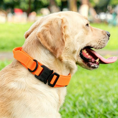 Tactical Dog Collar — Built Tough for Active Dogs
