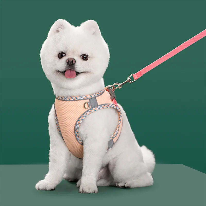 Reflective Dog Harness & Leash Set – Breathable Mesh Vest for Small & Medium Dogs