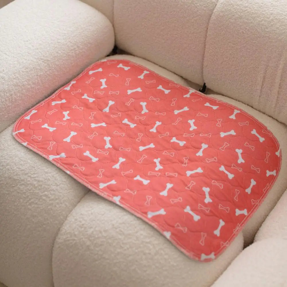 Washable Dog Pee Pad — Absorbent & Leak-Proof Training Mat