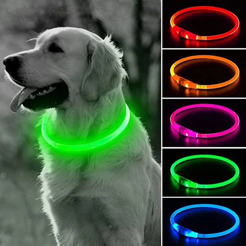 LED USB Rechargeable Dog Collar – Glowing Safety Collar for Night Walks