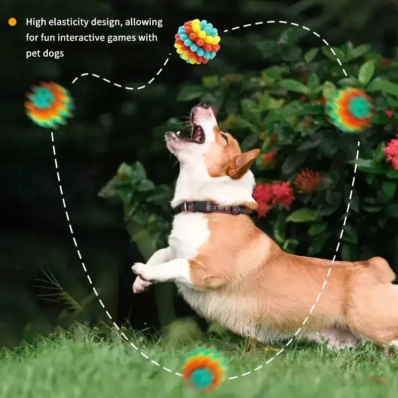 Indestructible TPR Dog Chew Toy — Soft Training Ball