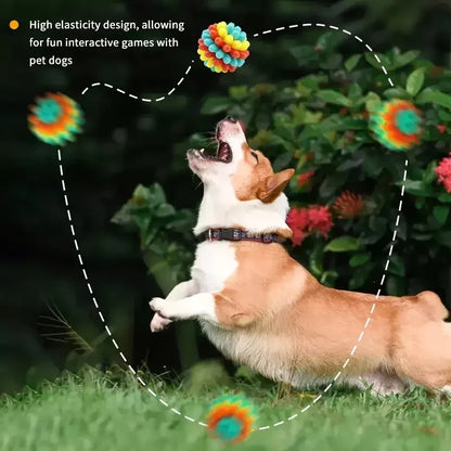 Indestructible TPR Dog Chew Toy — Soft Training Ball