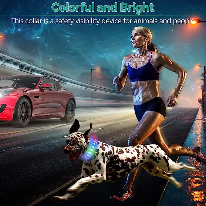 LED Luminous Dog Collar — USB Rechargeable & Waterproof