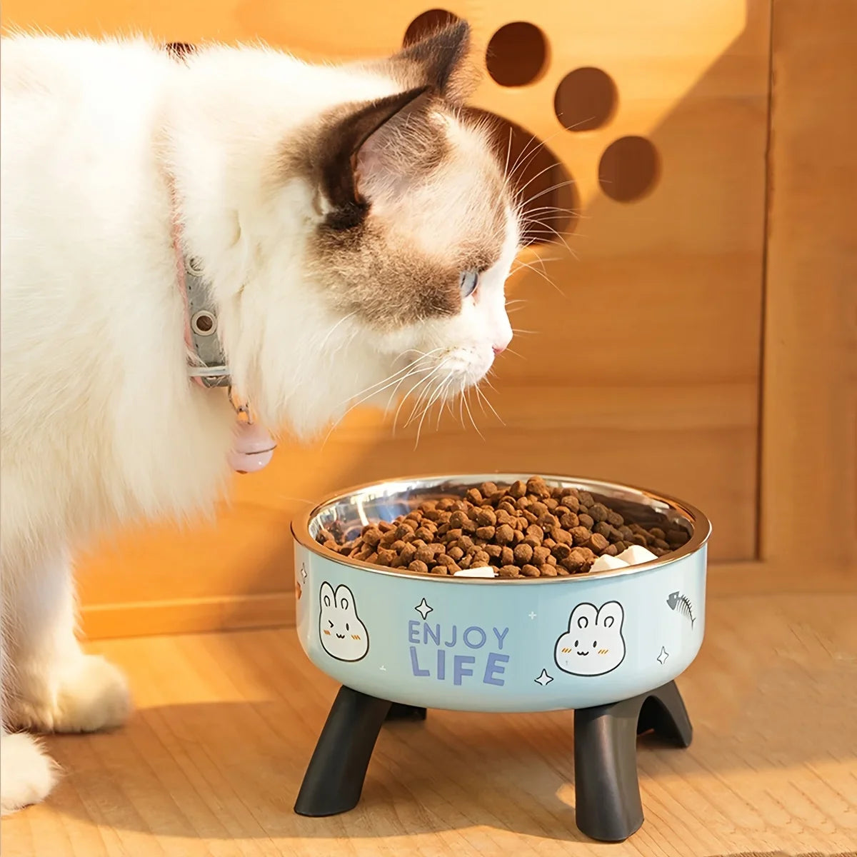Stainless Steel Pet Bowl – Anti-Tip Elevated Design with Non-Slip Silicone Base for Cats & Small Dogs