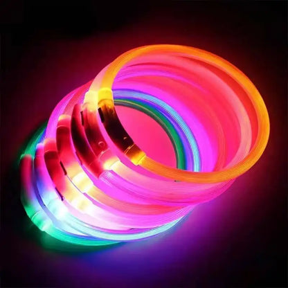 LED USB Rechargeable Dog Collar – Glowing Safety Collar for Night Walks
