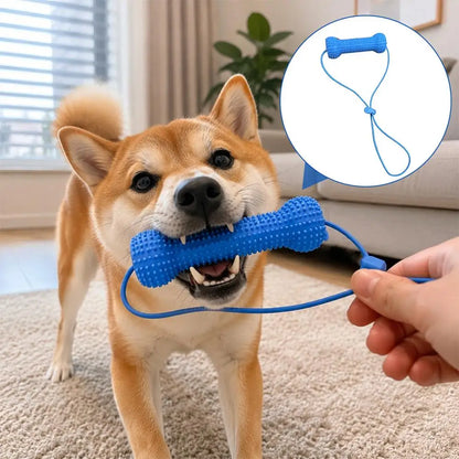 Interactive Dog Teething Stick with Lanyard