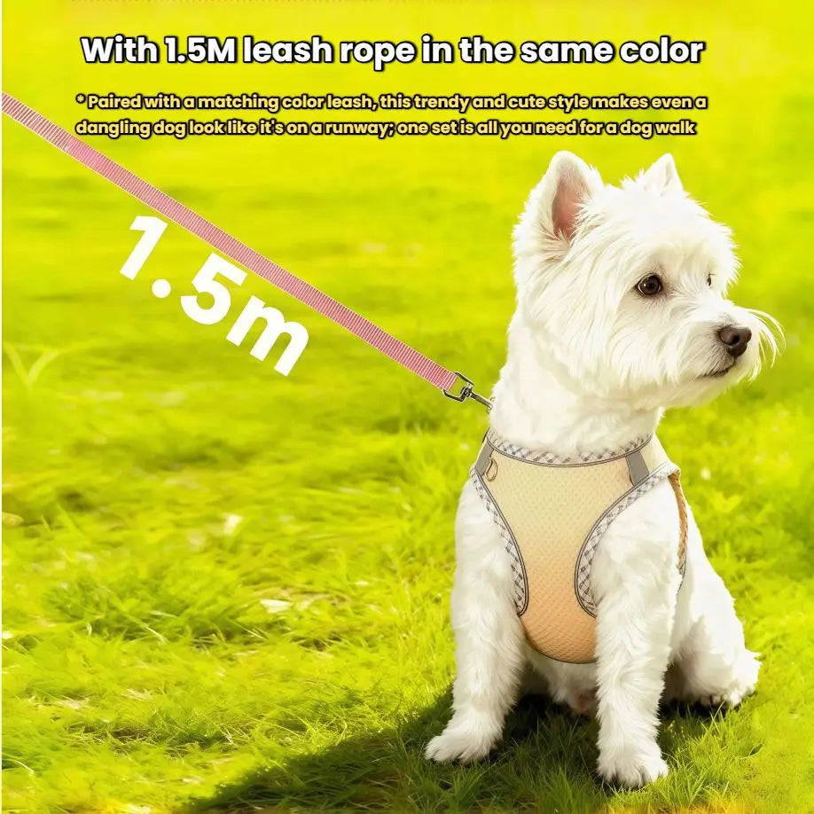 Reflective Dog Harness & Leash Set – Breathable Mesh Vest for Small & Medium Dogs