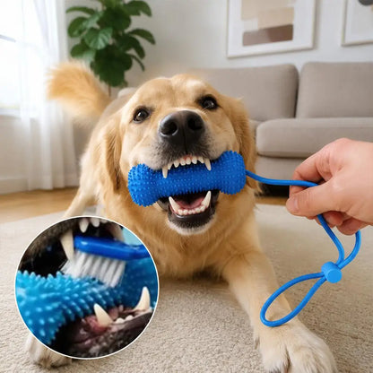 Interactive Dog Teething Stick with Lanyard