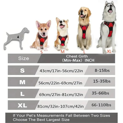 ComfortFit Harness Set — Walk Farther, Pull Less