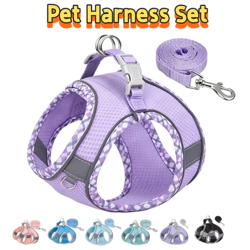 Reflective Dog Harness & Leash Set – Breathable Mesh Vest for Small & Medium Dogs