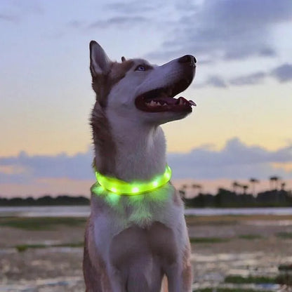 LED Luminous Dog Collar — USB Rechargeable & Waterproof