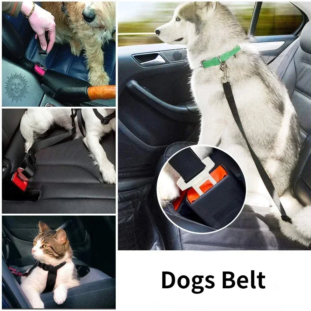 SafeRide Dog Seat Belt