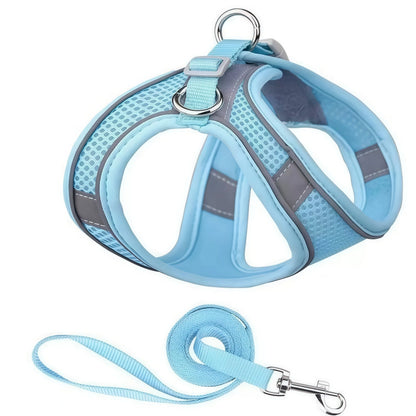 Reflective Dog Harness & Leash Set – Breathable Mesh Vest for Small & Medium Dogs