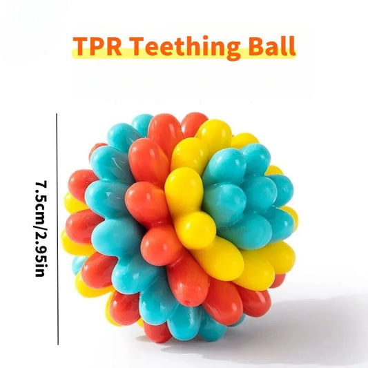 Indestructible TPR Dog Chew Toy — Soft Training Ball