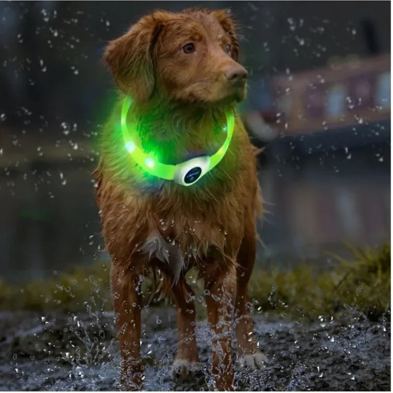 LED Luminous Dog Collar — USB Rechargeable & Waterproof