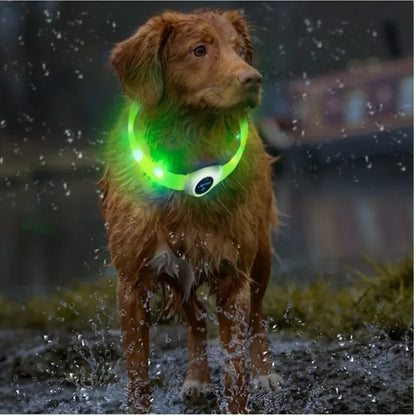 LED Luminous Dog Collar — USB Rechargeable & Waterproof