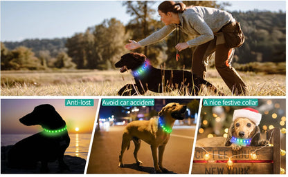 LED Luminous Dog Collar — USB Rechargeable & Waterproof