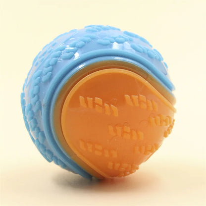 Squeaky TPR Dog Ball Toy — Teeth Cleaning & Bite Resistant