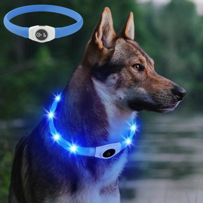 LED Luminous Dog Collar — USB Rechargeable & Waterproof
