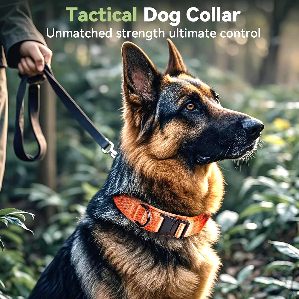 Tactical Dog Collar — Built Tough for Active Dogs