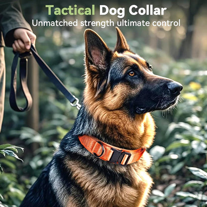 Tactical Dog Collar — Built Tough for Active Dogs